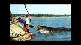 ШОК РЫБАЛКА // ТЫ ТАКОГО НЕ ВИДЕЛ! ПРИКОЛЫ НА РЫБАЛКЕ 2020 / трофейная рыбалка