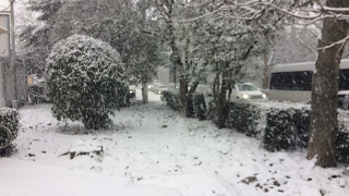 Снегопад в Ялте 27.01.17.Крым/Гололёд на дороге.Snowy weather