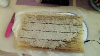 Стандарт сотового меда(лайфхак)