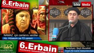 Şəhruz Həbibi Azan