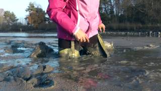 Green Waders - Muddy and Wet
