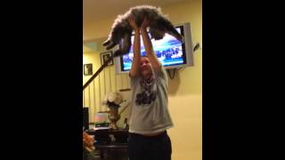Suzie the Siberian Cat Goddess