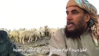 الجزء 1️⃣ مع الأستاذ محمد بن معتوق القرشي وعشق تربية الأغنام ? منذ صباه وبستان مكة طايفنا?