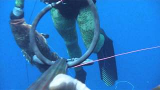 Pescasub - 3 cernie 7-3,5-4,5 kg