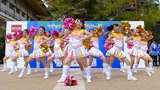 チアダンスサークル SWEETiEZ・2016京都学生祭典