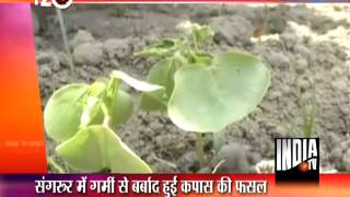 T 20 News (28/5/2013)