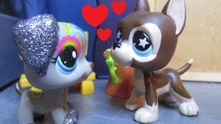 Lps~Мы Такие Разные! 6 серия "Тот самый Дима..."