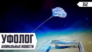 СТРАННОЕ СУЩЕСТВО в Индийском Океане / Пришельцы и Инопланетяне (Аномальные Новости НЛО 2019)