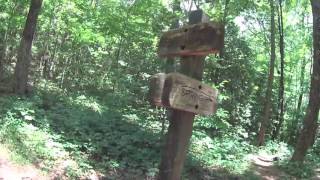 BMT Day Hike: Toccoa Swinging Bridge to Beyond Bryson Gap, GA