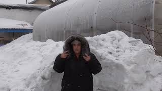 Когда высаживать томаты в теплицу с подогревом грунта в 2022 году для получения раннего урожая?