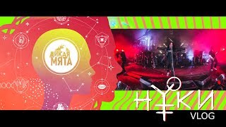 Нуки. Туровый VLOG. Дикая мята 2019