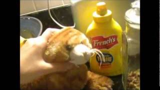 the cooking with Ginger show