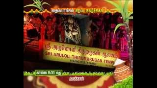 Pongal Special Shows