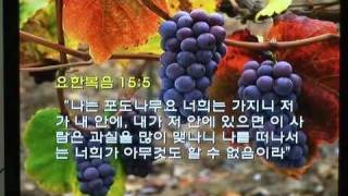 추수하러 오시는 예수님 - 강상진 목사
