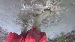 the welliequeen wetting her wellies