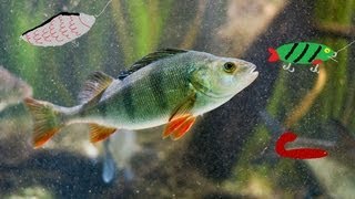 #5 Krótko o moich przynętach okoniowych