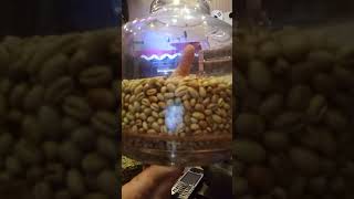 Cafe sư phụ cua Moka Cầu Đất...