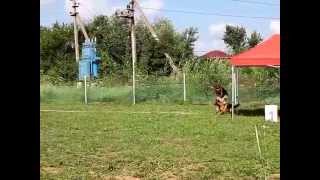Balaris MITSUBISHI - Körung 19 jule 2014