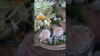 Metanding Pengulapan Agung