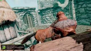 Skyrim FPS Glitch