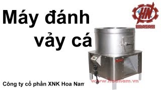 Máy đánh vẩy cá Kingsun ,Máy đánh vảy cá - Siêu thi máy thực phẩm Hoa Nam