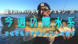オカッパリガイド・アユサンの今週の霞水系！そもそもリアクションって何？