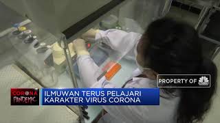 Penasihat Kesehatan Gedung Putih Angkat Suara Terkait Vaksin Covid-19