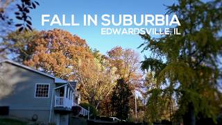 Fall in the Suburbs - Edwardsville, Illinois
