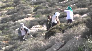 Watch: Settlers attacking activists and Palestinians as Israeli soldiers stand by 8 2 2014