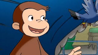 Jorge el Curioso en Español ?Mono al Rescate ? Mono Jorge ? Caricaturas para Niños