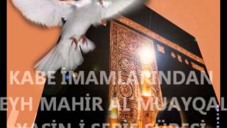 Yasin- Mülk- Nebe Sureleri (Kabe İmamlarından Şeyh Mahir)