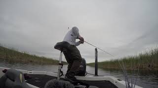 Close Call: Fisherman dodges lure right before it hits his face!