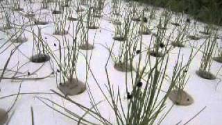 This is smart vegetables cultivation 1 （スマート野菜栽培ー１）