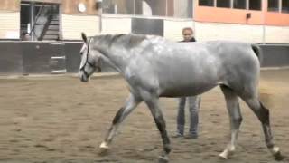 Cunera last chance rus