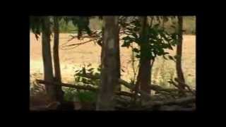 Biodiversity Hotspots, PPV&FR Authority, New Delhi, India  (Hindi)