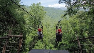 NAVITAT Zipline - Asheville NC