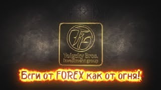 Tolgsky Bros. - Почему от Forex нужно держаться подальше?