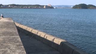 和歌山県田辺芳養（はや）堤防　投げでキスを狙う釣人　６月１０日（日）