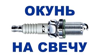Ловля окуня на автомобильную свечу