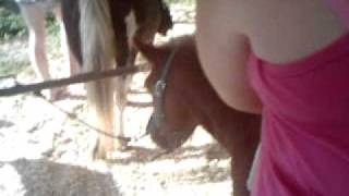 Taylor`s pony ride part 2.