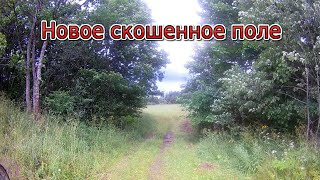 Поиск монет коп на новом скошенном поле с Minelab X-Terra 705