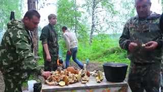 В тайге HD