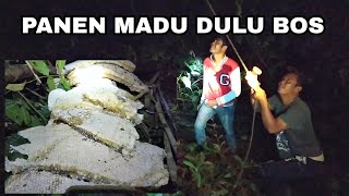 PANEN SARANG MADU LIAR DI HUTAN KALIMANTAN TIMUR | (MALAM PERTAMA)