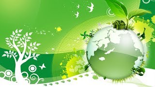 Высшие звери насекомоядные и рукокрылые. Биология 7 класс.