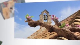 Camera Movement Presets - Project for After Effects (Videohive)