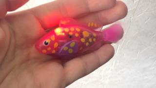 Magic robofish lowest price