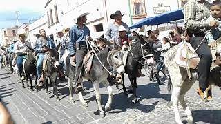 Cabalgata de burros| Jerez Zacatecas| 18/Febrero/2018