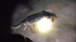 2809