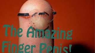 Finger Penis