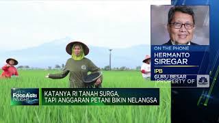 Derita Petani RI, Subsidi Dipangkas Hingga Harga Pupuk Melonjak